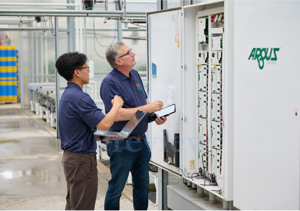 Two TC Controls technicians inspecting an open Argus control panel inside the Nourse Farms greenhouse